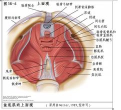 孕妇在产房生孩子视频,女人产房尴尬照,产妇产房解剖图片(3)