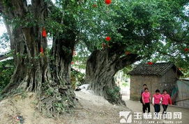 山西洪洞大槐树全景图片,山西洪洞县志移民姓氏,最近山西洪洞新闻(4)