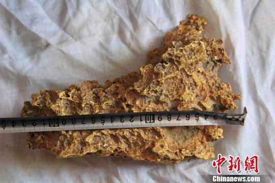 狗头金是什么照片图,世界上最大狗头金,狗头金市场价格多少钱一克(3)