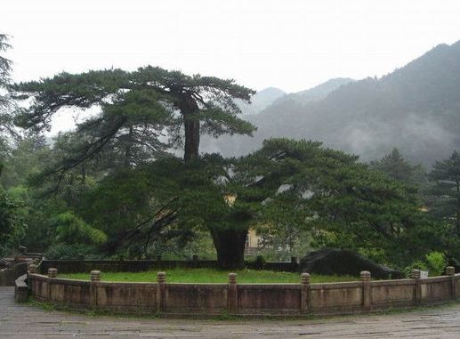 ŹͼƬ, ڳ500۸(2)