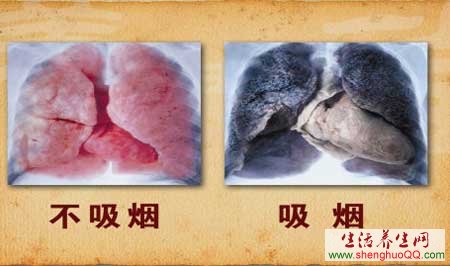 中国超7亿人面临二手烟危害图,长期吸二手烟有什么危害(4)