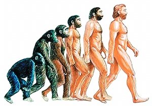 湖南发现最早现代人类化石图,人类起源的大致过程是什么(3)