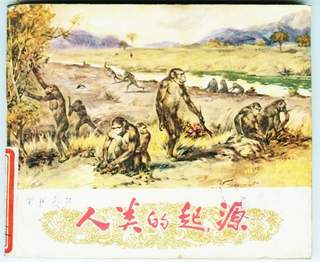 湖南发现最早现代人类化石图,人类起源的大致过程是什么(3)