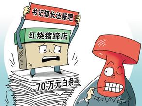镇政府7年打148张白条,打白条是什么意思有效期限(3)