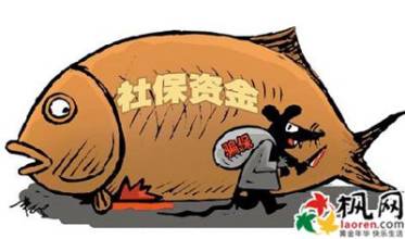 中国未富先老养老金吃紧,社保基金和养老金的区别(3)