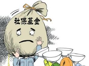 中国未富先老养老金吃紧,社保基金和养老金的区别(3)