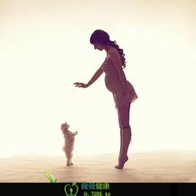 女性怀孕时期可以养狗吗?怀孕期间养狗的注意事项(3)