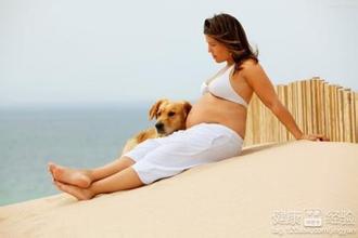 女性怀孕时期可以养狗吗?怀孕期间养狗的注意事项(3)