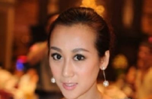 陈浩民老婆被疑假结婚, 陈浩民老婆蒋丽莎整容照片四胞胎照片