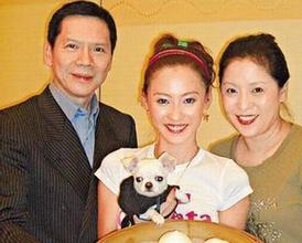 向太再讽张柏芝很会做戏, 向太与张柏芝的梁子为何能结得如此之深(3)