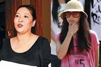 向太再讽张柏芝很会做戏, 向太与张柏芝的梁子为何能结得如此之深(3)