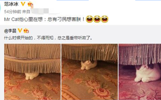 范冰冰爸爸最新近照背景惊人揭秘, 范冰冰爸爸范涛是干什么的?(2)