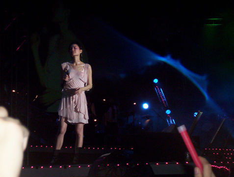 2016王菲演唱会具体什么时候开地点在哪?王菲演唱会票价是多少?(2)
