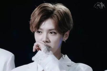 鹿晗罕见动怒情绪失控原因是什么?鹿晗怒斥跟车黄牛原版视频曝光(2)