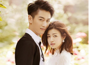 陈晓陈妍希合肥领证结婚现场照, 陈晓陈妍希婚礼最新情况结婚照片(2)