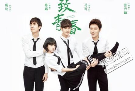 电视剧《致青春》什么时候播出, 《致青春》剧情介绍演员角色揭秘(2)