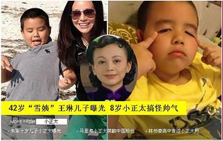 雪姨王琳新恋情曝光, 揭秘雪姨新男友的个人资料照片儿子最新近照(2)