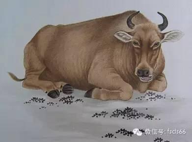 最有福气的生肖女是什么?盘点人品最好的生肖你在列吗?