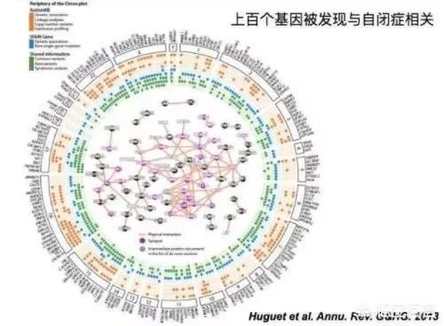 自闭症是什么原因引起的?自闭症儿童有哪些表现?