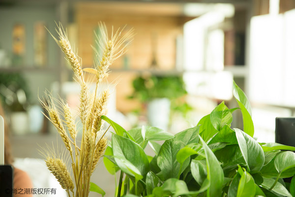 麦洛洛夏河怎么分开的？ 他们分手原因大揭秘 夏洛河河