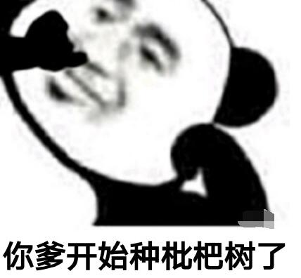 你爸今晚必在庭中种枇杷树什么意思 当代网友内涵骂人 你爸在家吗