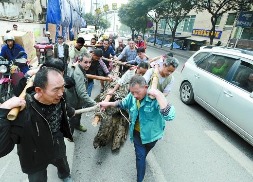 农民挖出天价乌木图,乌木价格多少钱一斤,6000斤千年乌木值多少钱