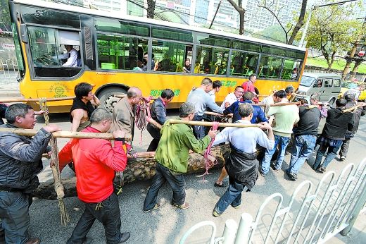 农民挖出天价乌木图,乌木价格多少钱一斤,6000斤千年乌木值多少钱