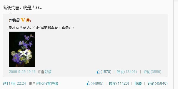 姚晨疑回应多次出轨离婚传闻 唐一菲和姚晨谁漂亮谁更出名