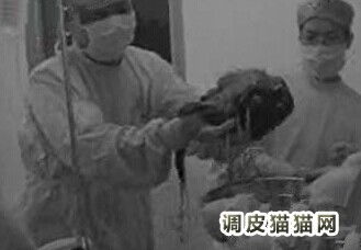 男子怀孕30年产下女婴被当怪物,千年木乃伊出土后产下活婴视频
