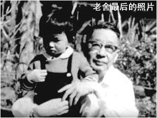 老舍为什么自杀?老舍是怎么死的老舍之死真相 老舍生平简介背景