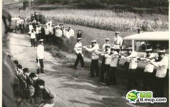 被执行枪决刑场图片女,死刑犯真实刑场上枪决视频照片