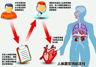 女孩车祸去世家人捐款细节 青岛3岁女孩去世捐款转赠