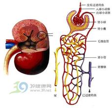 男子患尿毒症母亲却拒换肾 尿毒症的症状换肾要多少费用