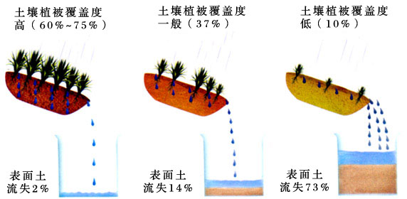3成国土面积水土流失损失严重 防治耕地水土流失措施