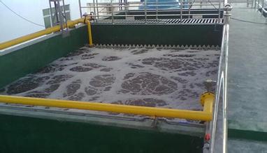 曝浙江企业污泥重金属超标 污泥重金属含量标准以及危害
