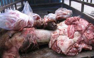 2015年非法经营病死猪肉案 广东查获60多吨病死问题肉