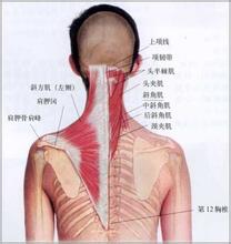如何日常预防颈椎病的动作 颈椎病的症状有哪些怎么治疗