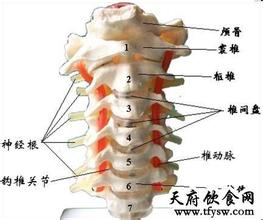 如何日常预防颈椎病的动作 颈椎病的症状有哪些怎么治疗