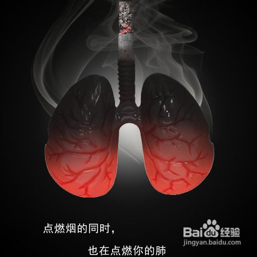 与吸烟有关的疾病和问题有哪些 吸烟对健康的危害