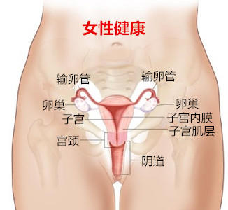 孕妇如何预防妇科疾病 常见的妇科疾病有哪些图