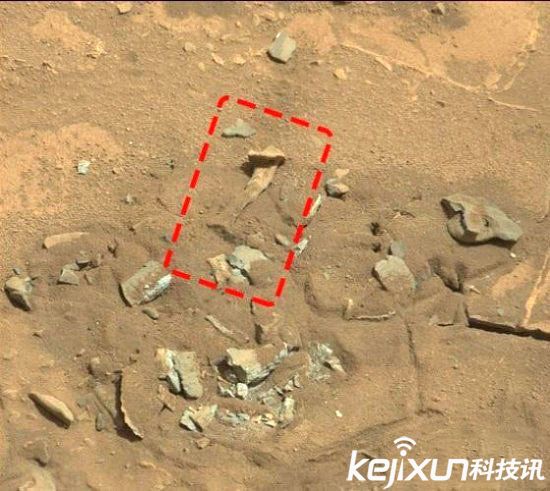 ݶ, ѡع