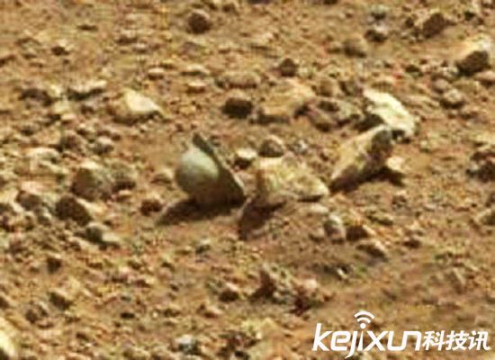 ݶ, ѡع