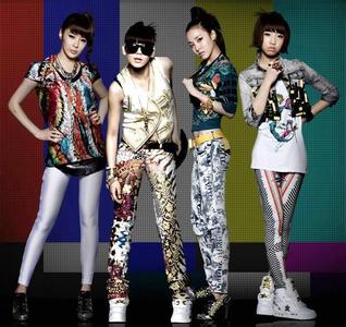 ˳2ne1, 2ne1ϳԱ˭˳ԭʲô