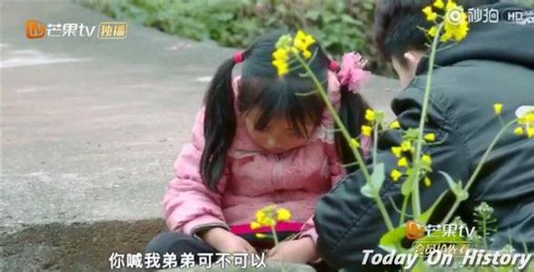 变形记陈新颖快手微博账号家庭背景遭扒, 陈新颖父母为什么离婚