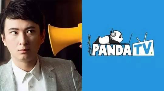 熊猫tv要倒闭了吗?王思聪为什么撤资熊猫tv原因