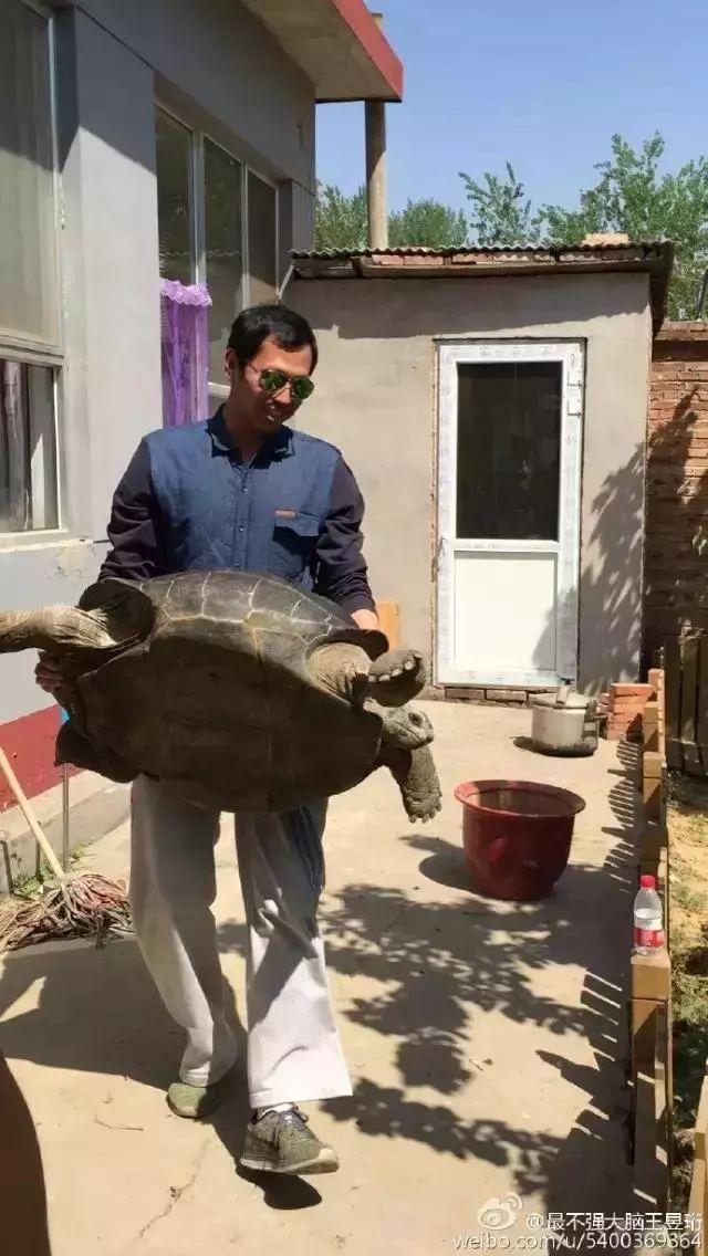 最强大脑王昱珩豪宅内部细节图曝光 家里也能种出热带雨林?