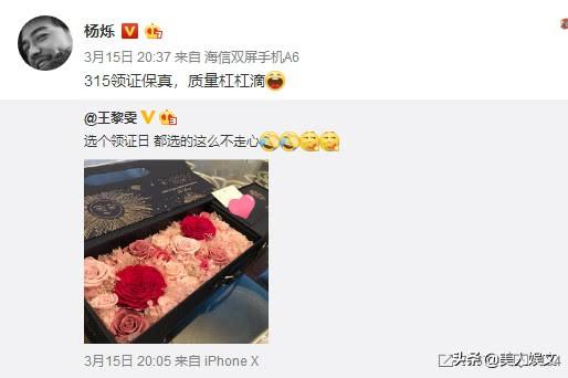 再爆出轨石锤杨烁王黎雯婚姻亮红灯 杨烁老婆个人资料大揭秘