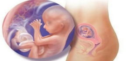 怀孕怎么分辨是男孩还是女孩?怀孕不孕吐说明什么真相原因