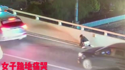 上海17岁男孩跳卢浦大桥轻生背后的原因是什么?家长怎么跟孩子相