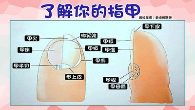 指甲看病图解肝不好指甲图片?指甲竖纹要担心是什么病